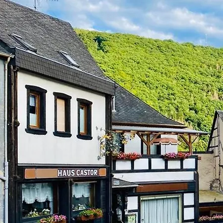 Мини-отель Castor