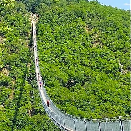 Fogadó Castor *