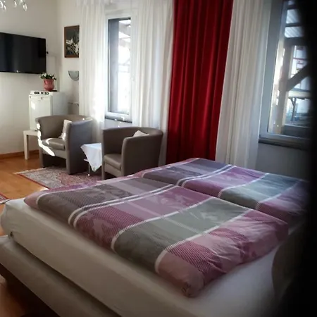 Мини-отель Castor *